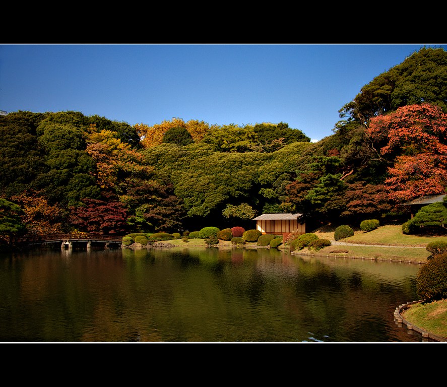 Airbnb - Shinjuku Park Tokyo