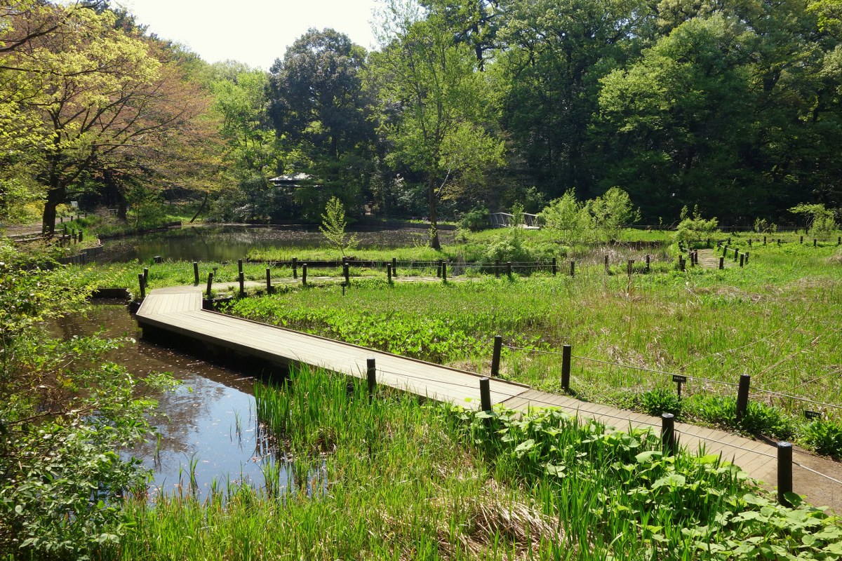 Best Airbnb Places in Tokyo